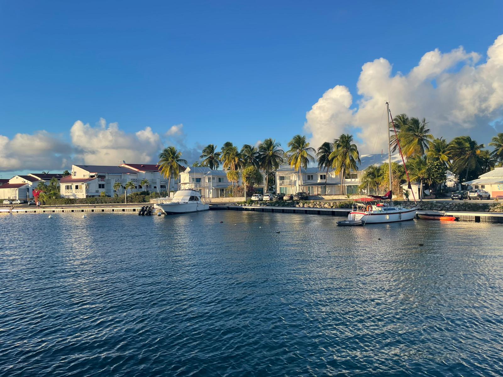 Port de Saint-François bordé de palmiers