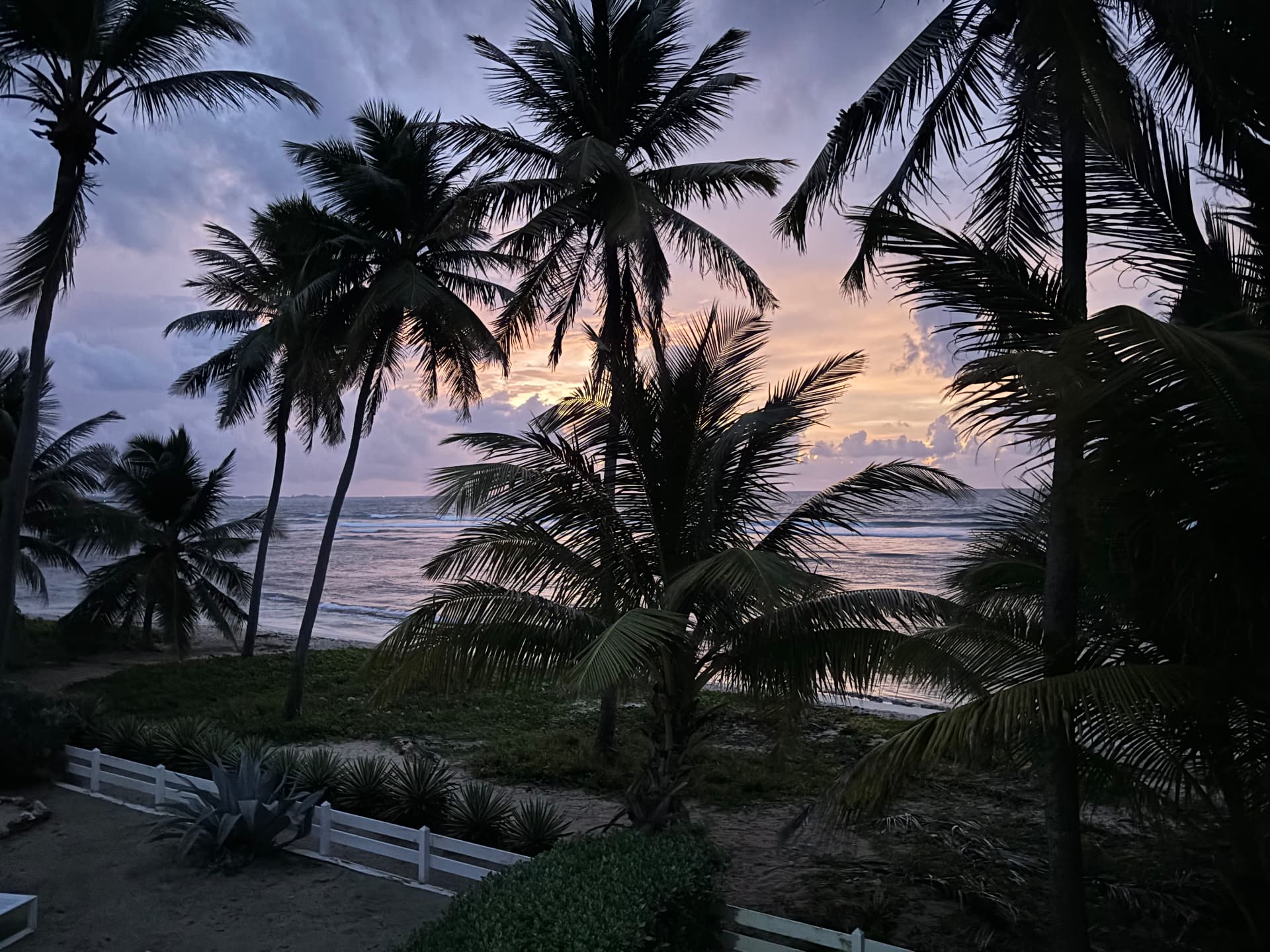 Palmiers et océan au coucher du soleil à Saint-François