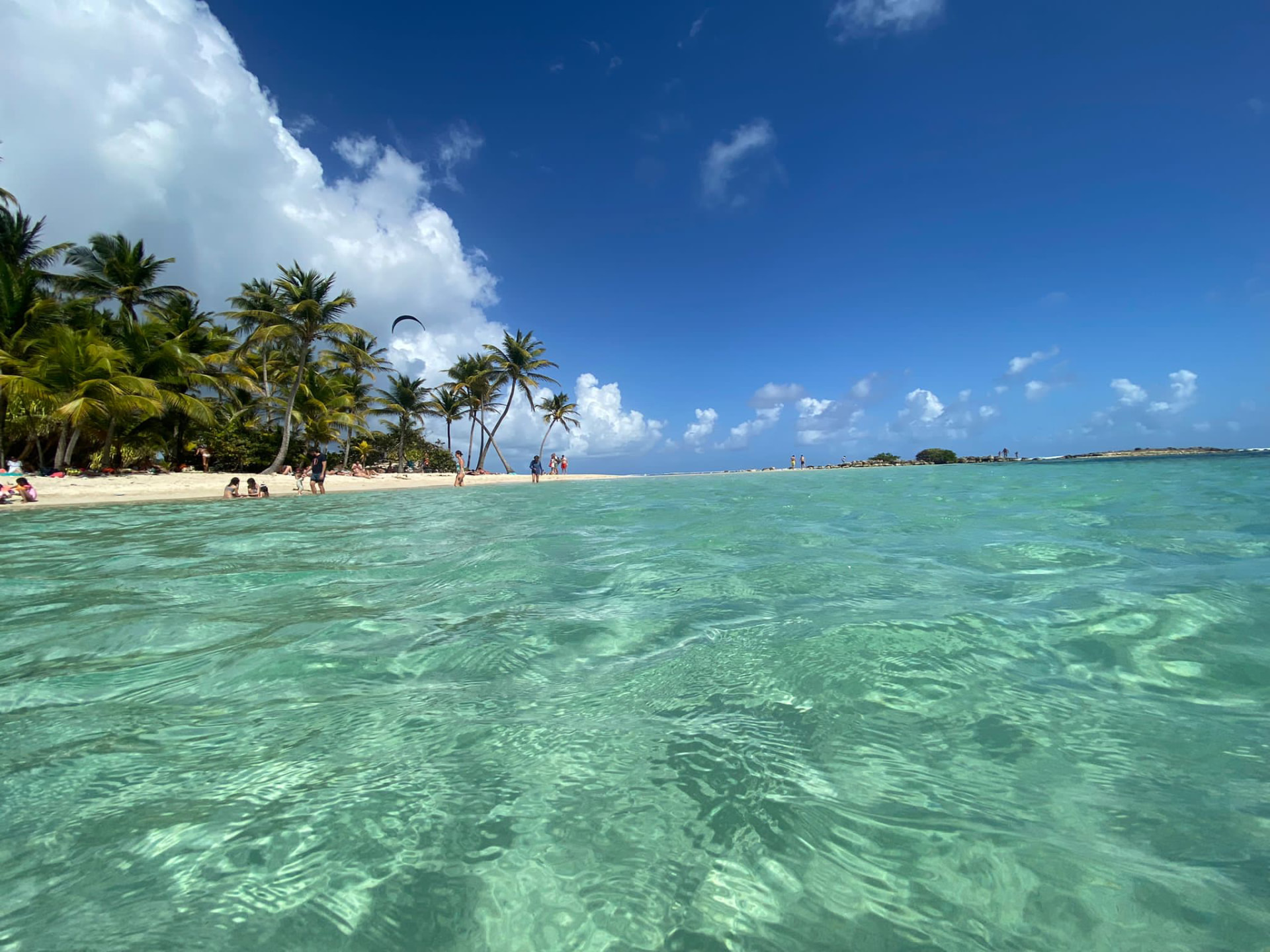 Lagon turquoise et plage bordée de palmiers à Sainte-Anne
