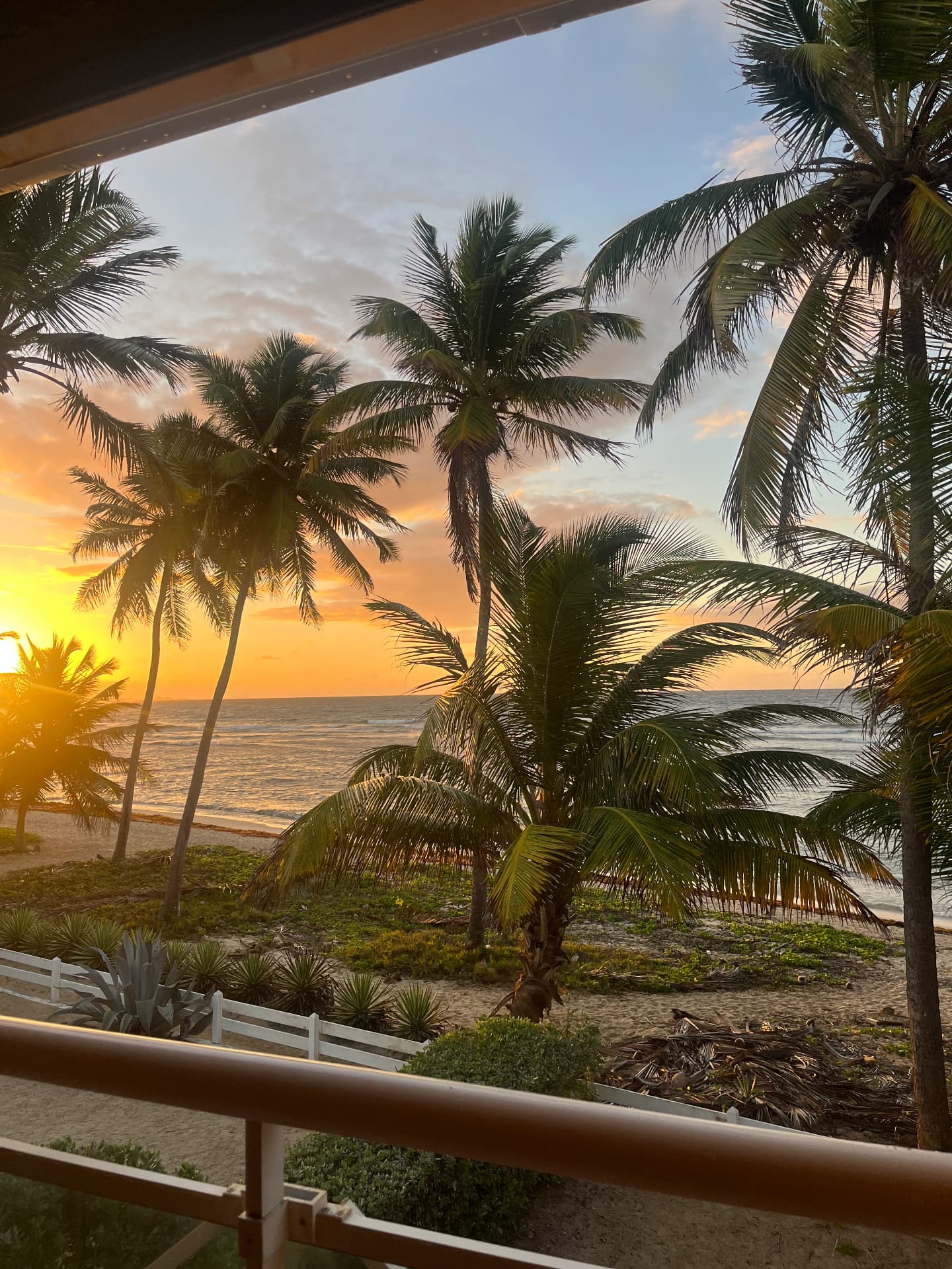 Lever de soleil doré depuis le balcon de Villa Pitaya