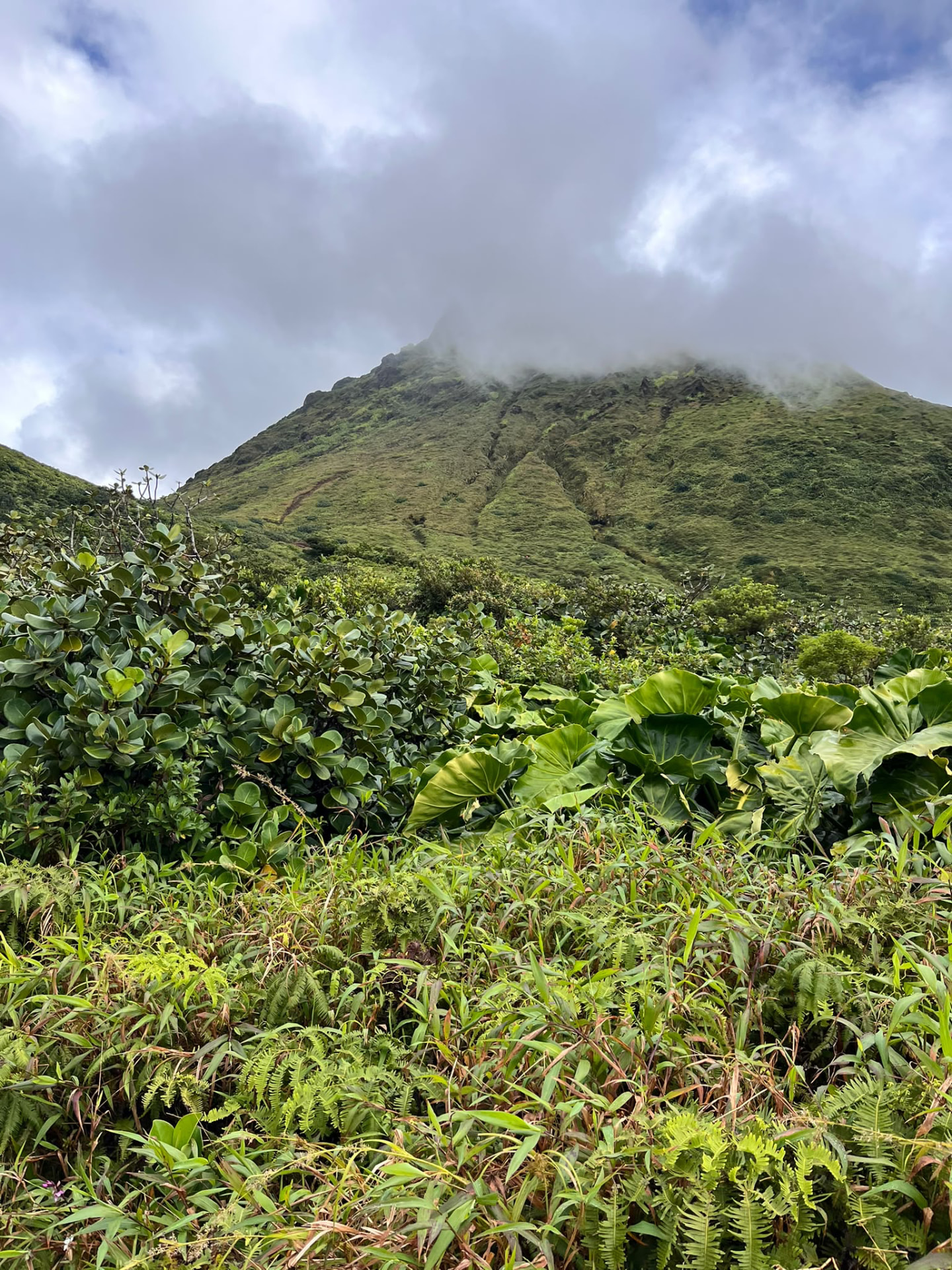 Sommet verdoyant de la Soufrière enveloppé de nuages