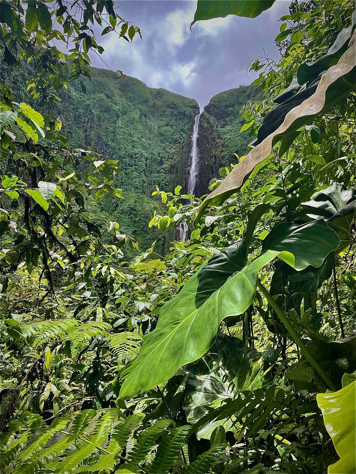 Chutes du Carbet entourées de végétation tropicale