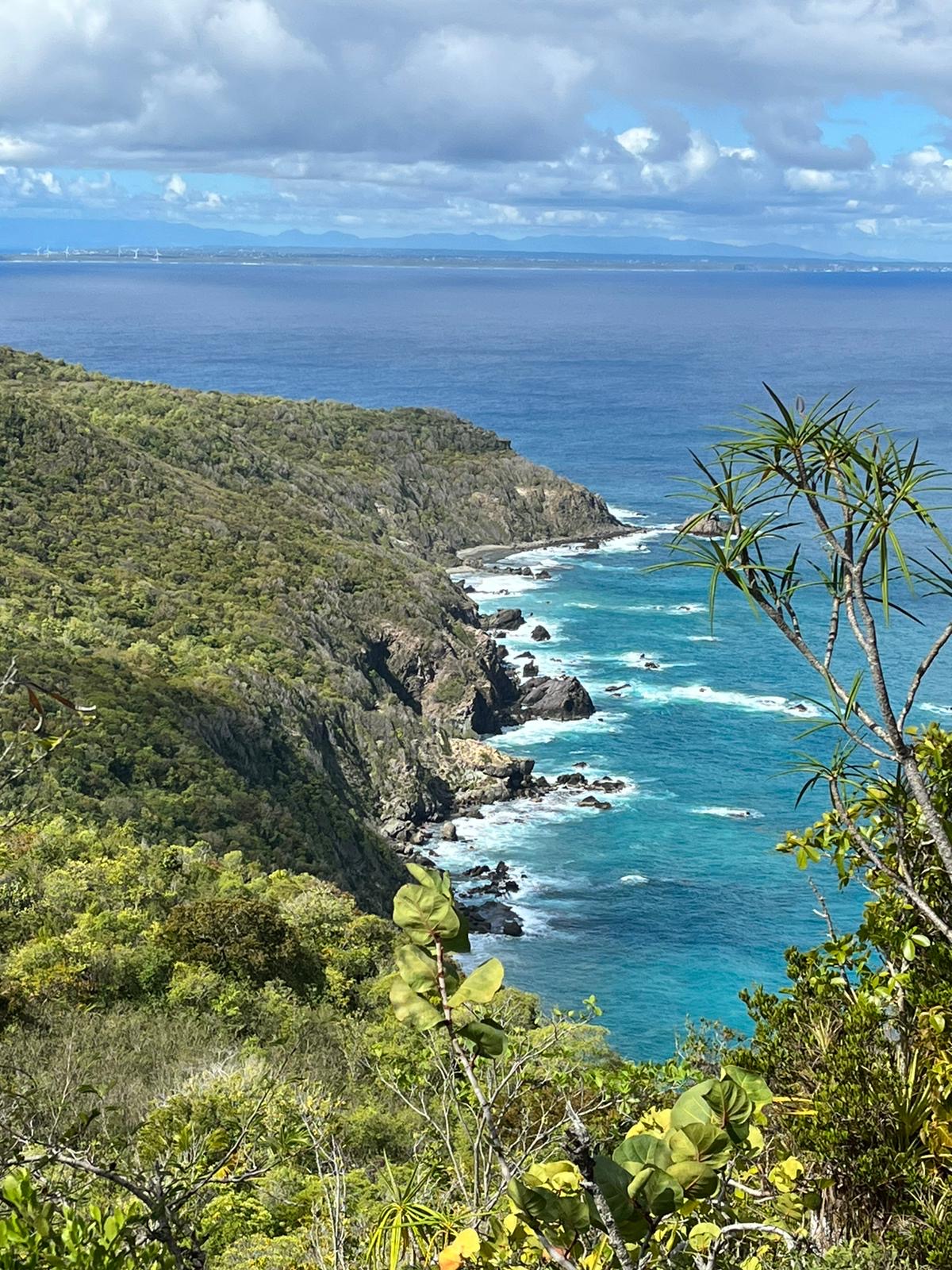 Littoral escarpé et eaux turquoise de La Désirade