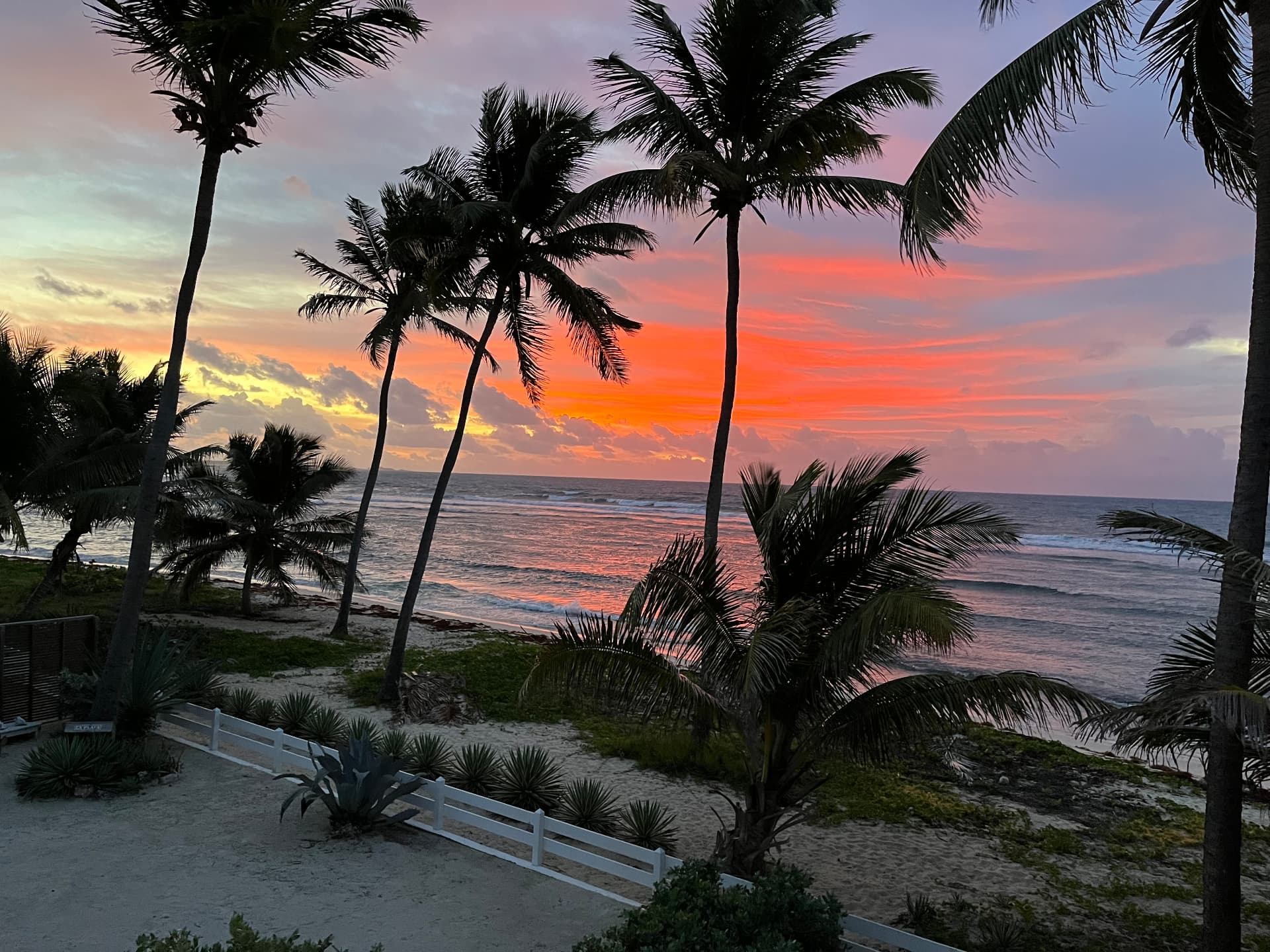 Ciel rose au-dessus de la plage et des palmiers