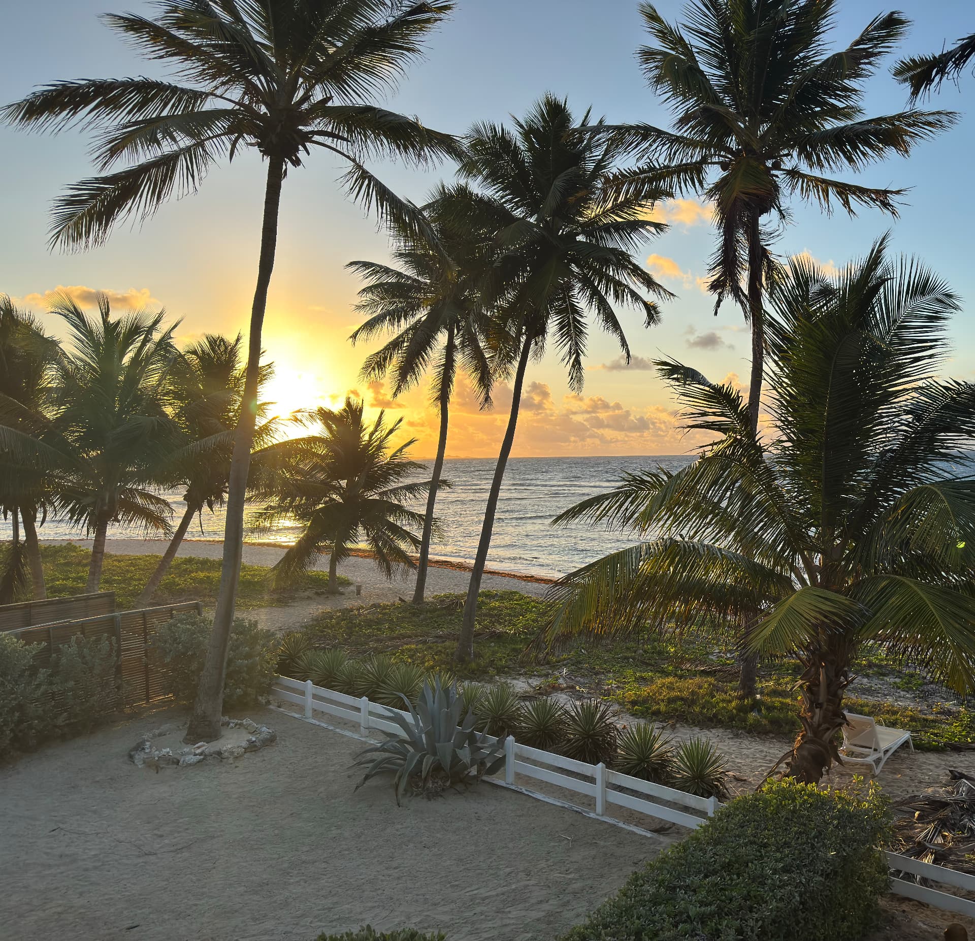 Soleil levant entre les palmiers devant Villa Pitaya